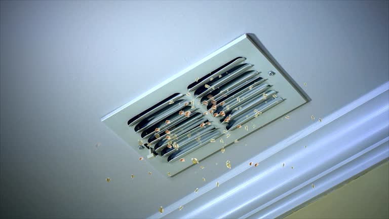 Best Local Air Duct Cleaning Services  in Bethalto, IL