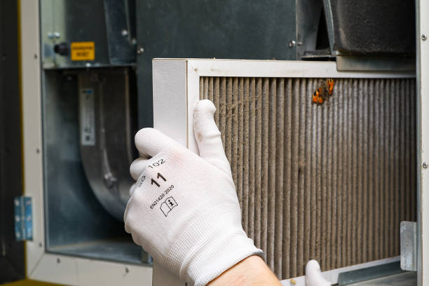 Best HVAC Maintenance and Cleaning  in Bethalto, IL