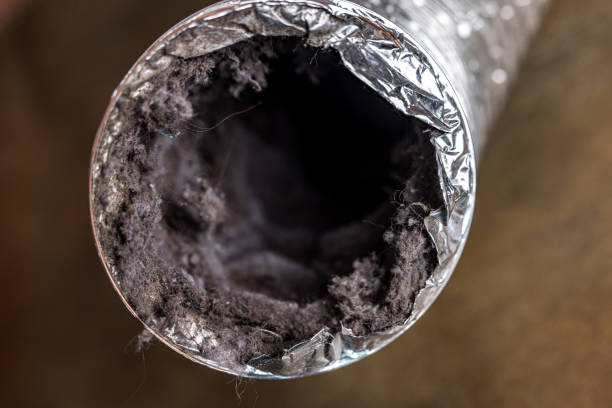 Best HVAC Duct Inspection Services  in Bethalto, IL