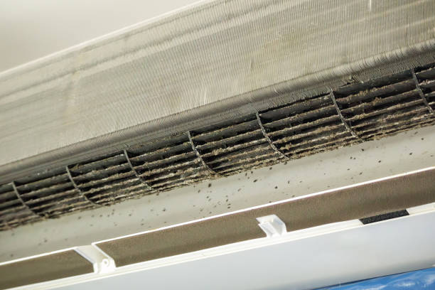 Best Air Vent Cleaning Services  in Bethalto, IL
